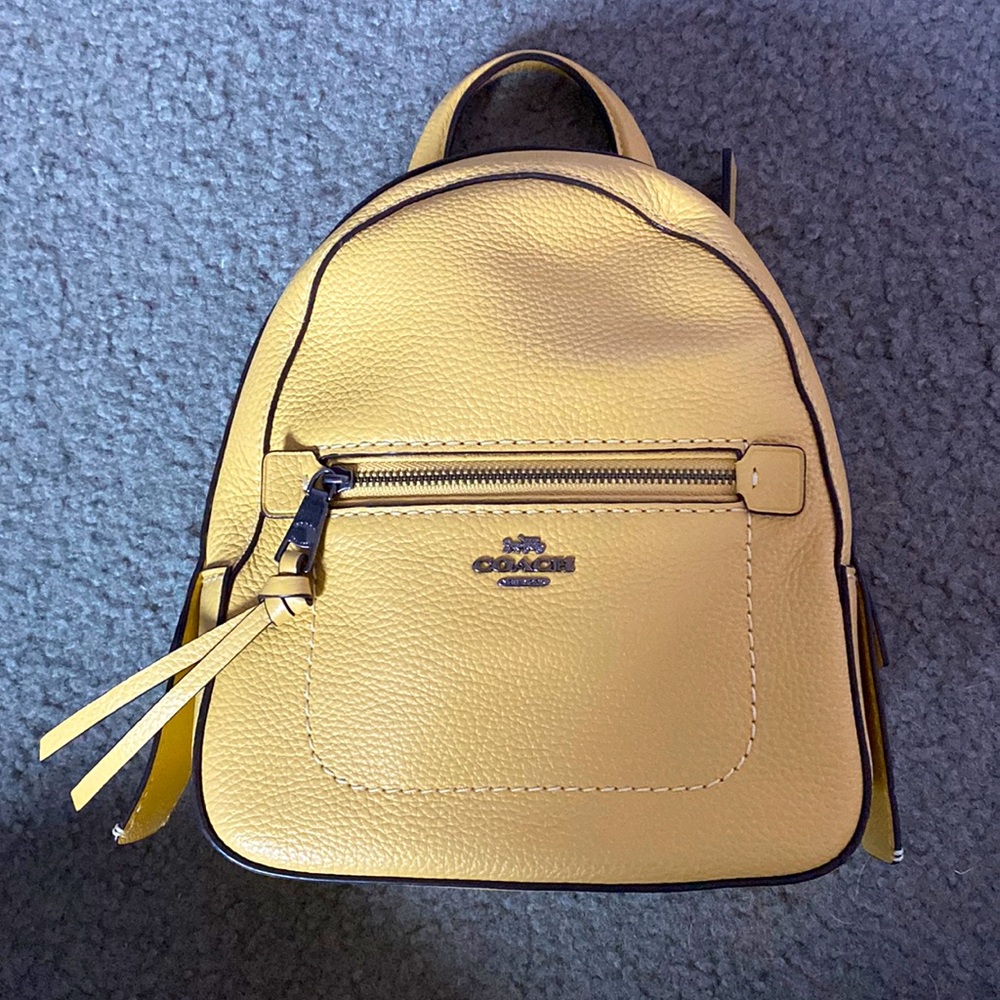 LEATHER COACH backpack/crossbody